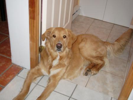 Voici Maggie