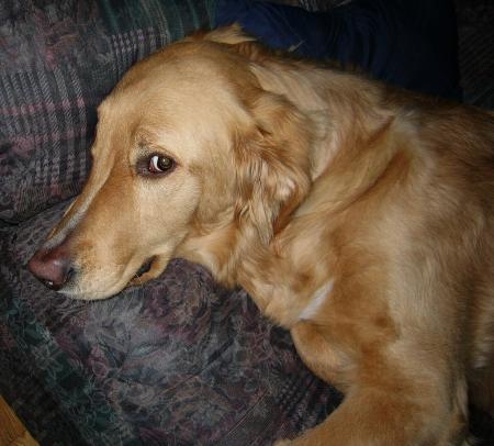 Maggie adore ce faire prendre en photo .